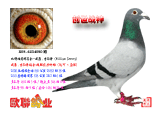 ֮ս