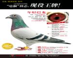 ޽С