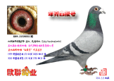 Ǳԭᣭ׸ֱ