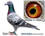 Ǿظܹھ֮ĸ