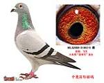 ȴ롰ʵۺšֱŮƷ