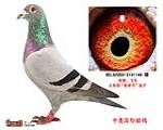 ȴ롰ʵۺšֱӣƷ