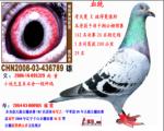 ǧǧ蹫26-05¹ھֶ.