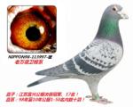 /ڡŰϵ113997