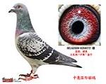 塰С¬ţ