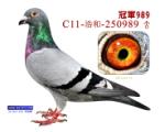 ھ989ѳʯׯ