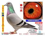 12ɽ蹫˫عھعھ