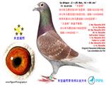 ȫǾ+25λֱȫǾ
