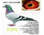 һʿƽ
