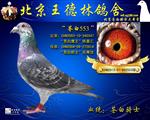 ԰553   Ʒ