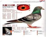 롰K133