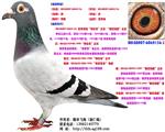  رȺš֮X;䡱֮Ů