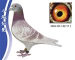 777