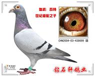 ;֮ӡʯۡƷ