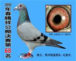 68-2013ӱ鹫