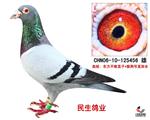xǹ