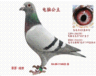 Ұ020ֱŮ