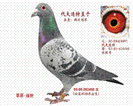 ιھֱ