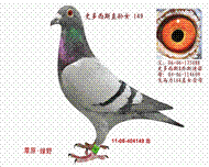 ʷ˹ֱŮ