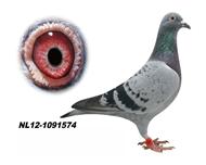 ��ɽӥ�������׿�ֱŮ��