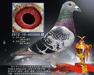 2013괺紨450KMܹھ