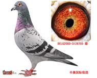 ҲĬָ롰Შǡţת)