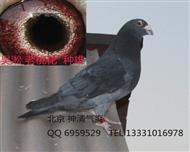 -һ