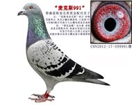˹991