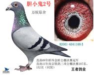 С2