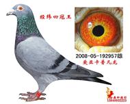 ھ游γĹ