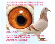 2012괺ϺԶ̸