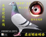 λ