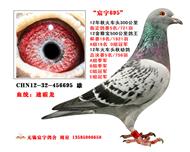 ���695�����ۣ�