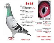 ɱк