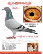 ղɭ·ʿ(ԭ)