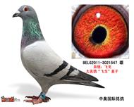ȴ롰ɸꡱֱӣƷ