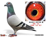 ȴ롰ɸꡱֱӣתã