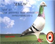 12ھֱӣӢۣ