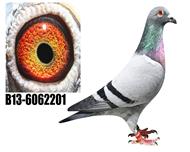 ҹ