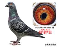 塰ҡֱƷ