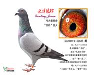 �ƶ�����