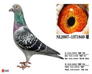 ɫӰ840