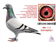 ر4Կھ