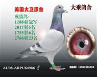 �����ھ�����