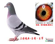 øҵ-ھ3136
