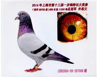Ϻһܹھ游