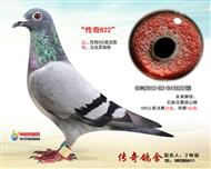 ʯׯ32