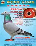 ���������409��