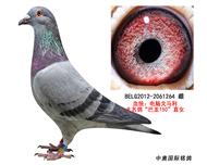 Ը롰150ֱŮ264