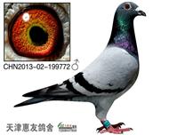 772